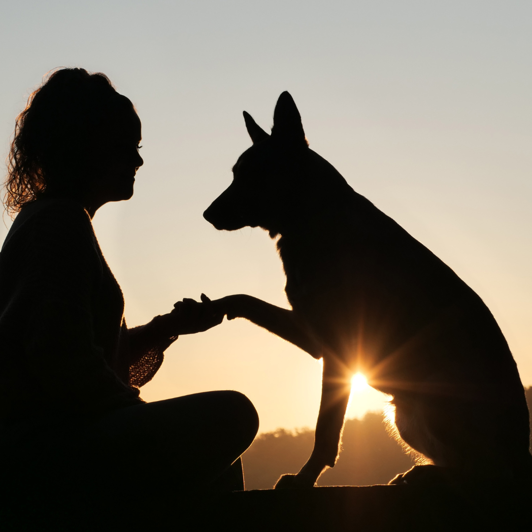 How to Make Lasting Friendships: Essential Strategies for Building Strong Connections