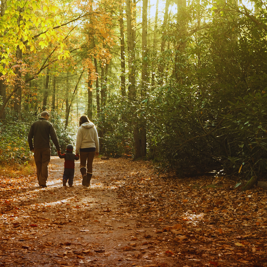 The Magic of Morning Walks: Discovering Their Benefits for Mind and Body